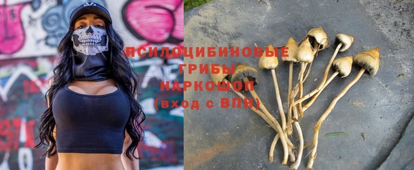а пвп мука Заводоуковск