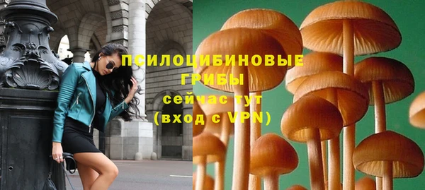 ALPHA PVP Заволжье