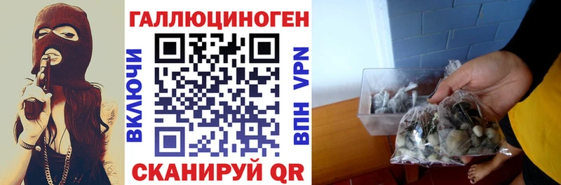 Галлюциногенные грибы GOLDEN TEACHER  продажа наркотиков  Новосибирск 