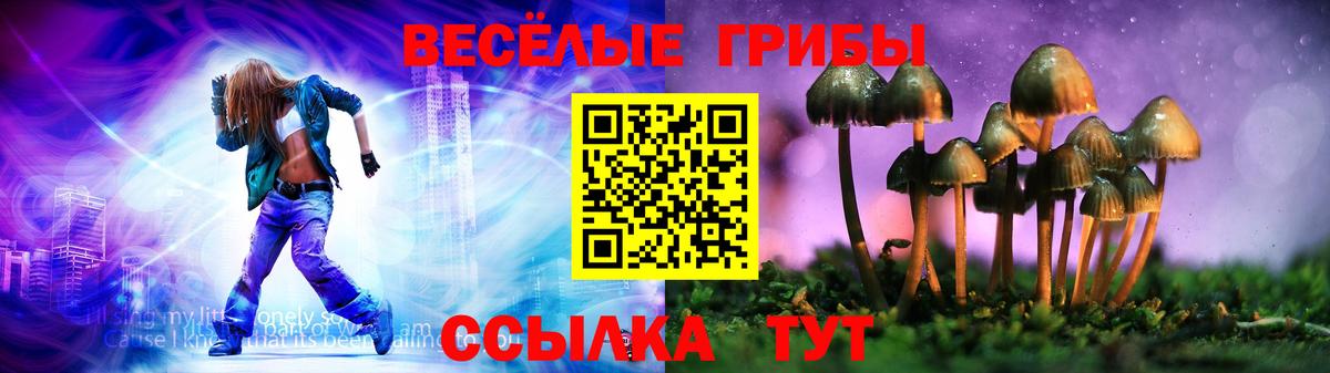 Галлюциногенные грибы Magic Shrooms Новосибирск
